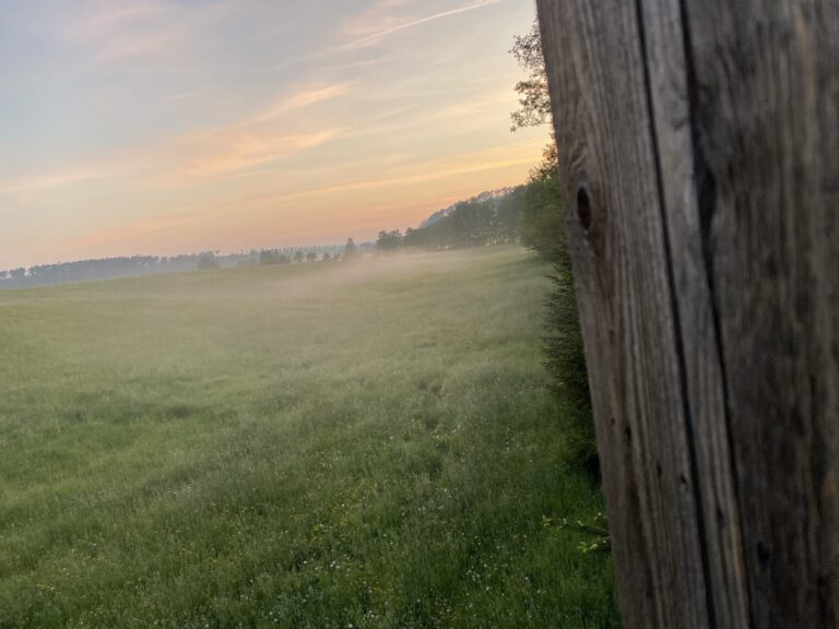 Blick aus Kanzel