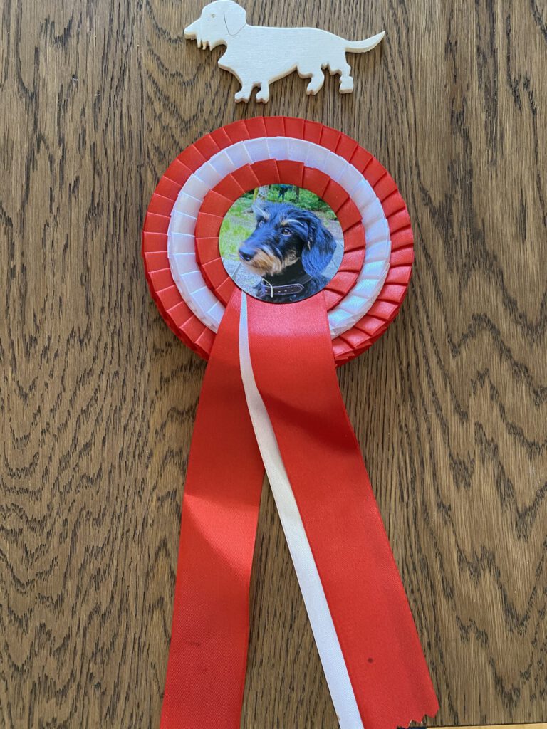 Medaille Tagessieg Anton